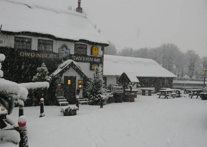 Guy\'S Thatched Hamlet